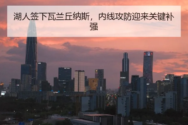 湖人签下瓦兰丘纳斯，内线攻防迎来关键补强